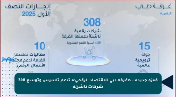 قفزة جديدة.. «غرفة دبي للاقتصاد الرقمي» تدعم تأسيس وتوسع 308 شركات ناشئة